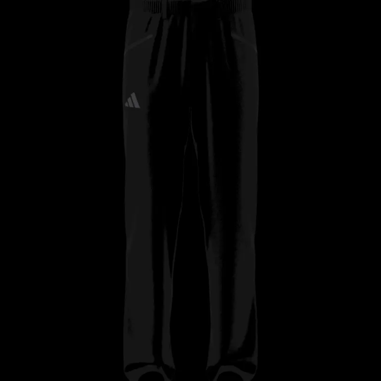 adidas Terrex Xperior Pro Clima365 Pants - Pantalon randonnée homme