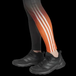 adidas XCS Race Tight - Collant ski de fond homme