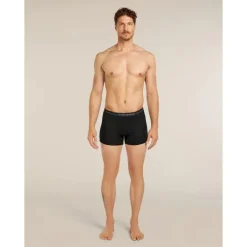 icebreaker 175 Everyday Boxers wFly - Boxer laine mérinos homme