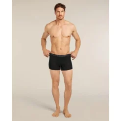 icebreaker 175 Everyday Boxers wFly - Boxer laine mérinos homme