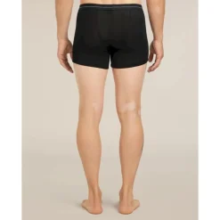 icebreaker 175 Everyday Boxers wFly - Boxer laine mérinos homme