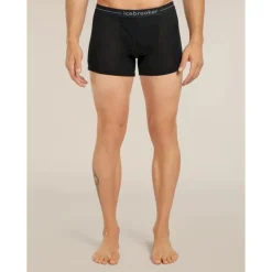icebreaker 175 Everyday Boxers wFly - Boxer laine mérinos homme