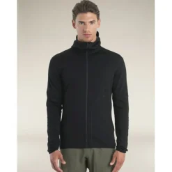 icebreaker 560 RealFleece Elemental II LS Zip Hoodie - Polaire en laine mérinos homme