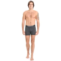 icebreaker Anatomica Boxers With Fly - Boxer laine mérinos homme