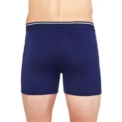 icebreaker Anatomica Boxers With Fly - Boxer laine mérinos homme