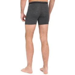 icebreaker Anatomica Boxers With Fly - Boxer laine mérinos homme