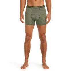 icebreaker Anatomica Boxers - Boxer homme