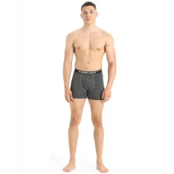 Icebreaker Anatomica Boxers - Boxer homme