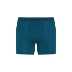 Icebreaker Anatomica Boxers - Boxer homme