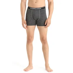Icebreaker Anatomica Boxers - Boxer homme