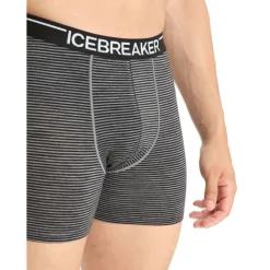 Icebreaker Anatomica Boxers - Boxer homme