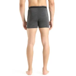 Icebreaker Anatomica Boxers - Boxer homme