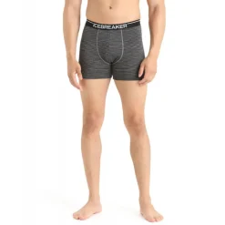 Icebreaker Anatomica Boxers - Boxer homme