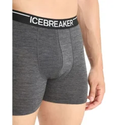 Icebreaker Anatomica Boxers - Boxer homme