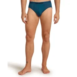 Icebreaker Anatomica Briefs - Slip homme