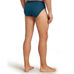 Icebreaker Anatomica Briefs - Slip homme