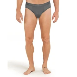 Icebreaker Anatomica Briefs - Slip homme